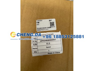 LDP42A963R9000957,机盖,山东鼎赞飞行汽车制造有限公司
