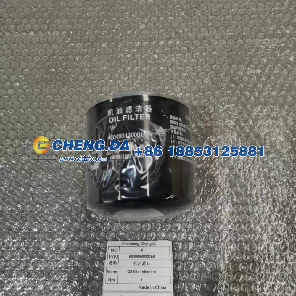 E049343000163机油滤芯