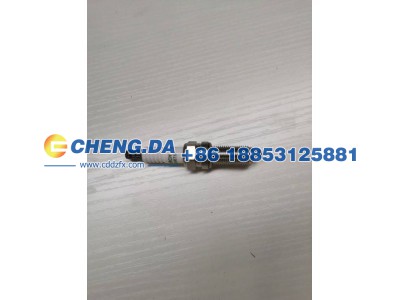 LVTDD24B4SDE16997,HHS 火花塞,山东鼎赞飞行汽车制造有限公司