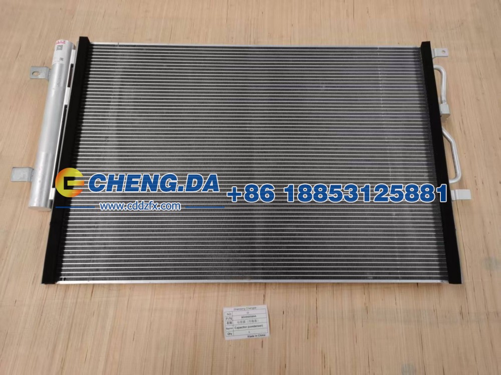 301000058AA,电容器 （冷凝器）,山东鼎赞飞行汽车制造有限公司