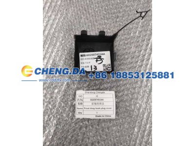 602007455AA,前拖钩堵盖,山东鼎赞飞行汽车制造有限公司