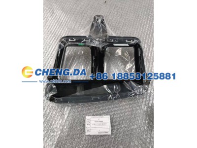 602007456AA,前保左日间灯装饰,山东鼎赞飞行汽车制造有限公司
