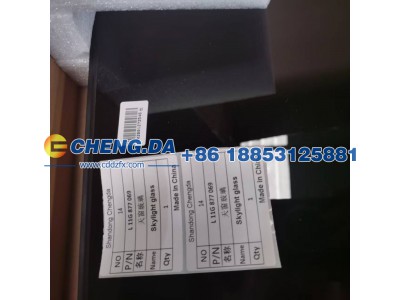 L11G877069,天窗玻璃,山东鼎赞飞行汽车制造有限公司