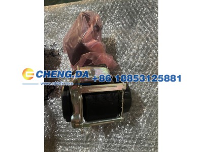 8894953841OA1,安全带 前,山东鼎赞飞行汽车制造有限公司