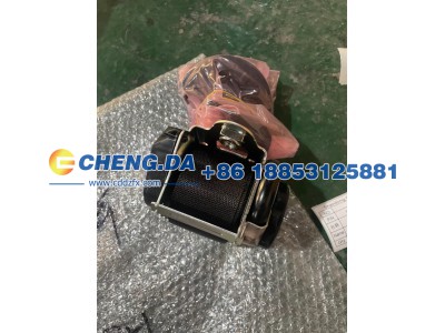 8894953841OA1,安全带 前,山东鼎赞飞行汽车制造有限公司