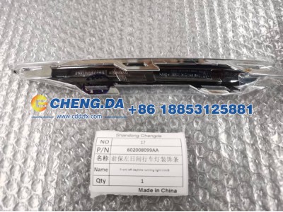 602008099AA,前保左日间行车灯装饰条,山东鼎赞飞行汽车制造有限公司