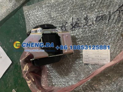 8894953853OA1,安全带  后,山东鼎赞飞行汽车制造有限公司