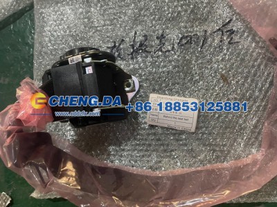 8894953853OA1,安全带  后,山东鼎赞飞行汽车制造有限公司