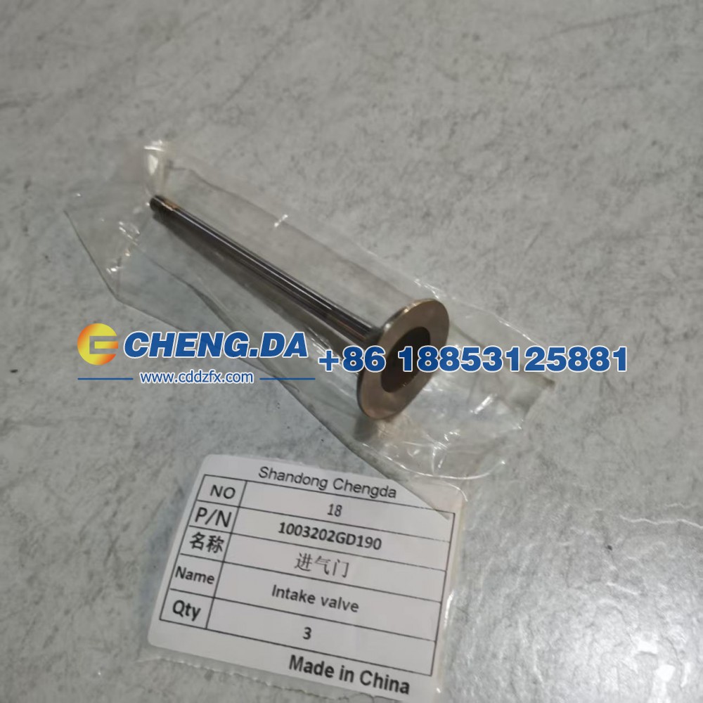 1003202GD190,进气门,山东鼎赞飞行汽车制造有限公司