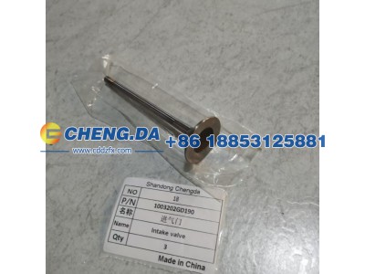 1003202GD190,进气门,山东鼎赞飞行汽车制造有限公司