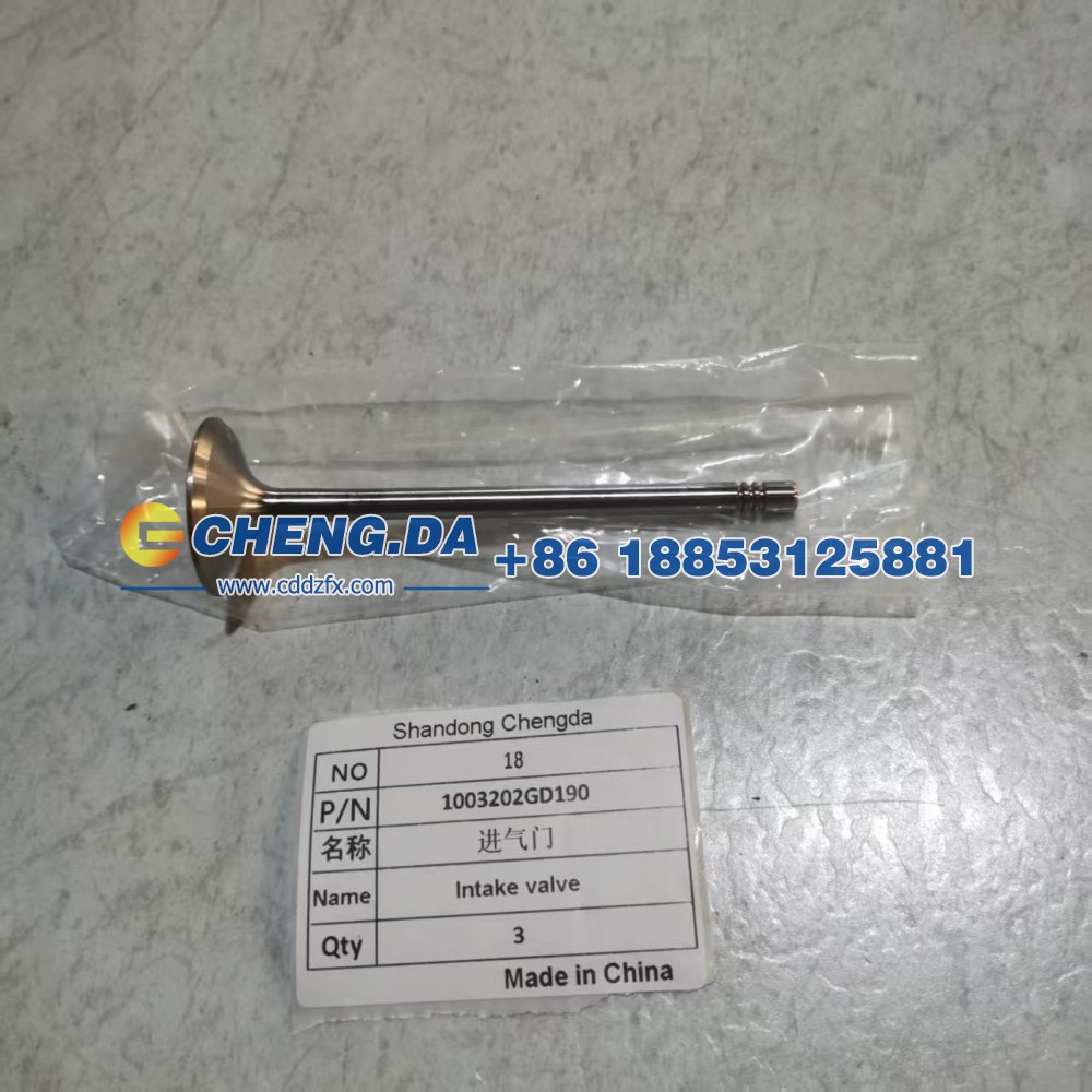 1003202GD190,进气门,山东鼎赞飞行汽车制造有限公司