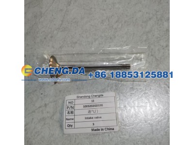 1003202GD190,进气门,山东鼎赞飞行汽车制造有限公司