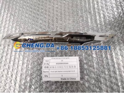 602008100AA,前保右日间行车灯装饰条,山东鼎赞飞行汽车制造有限公司
