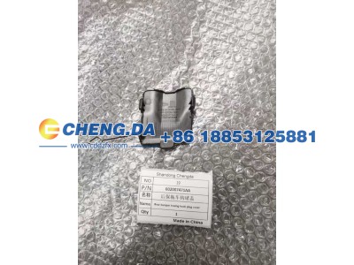 602007471AA,后保拖车钩堵盖,山东鼎赞飞行汽车制造有限公司
