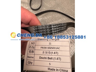 F4J16-1025011AC,多契带(1.6T) 原厂,山东鼎赞飞行汽车制造有限公司