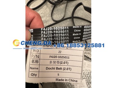 F4J20-1025011,多契带(2.0T) 原厂,山东鼎赞飞行汽车制造有限公司