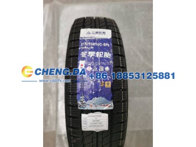 LB379RCW6SX840227,雪地胎,山东鼎赞飞行汽车制造有限公司