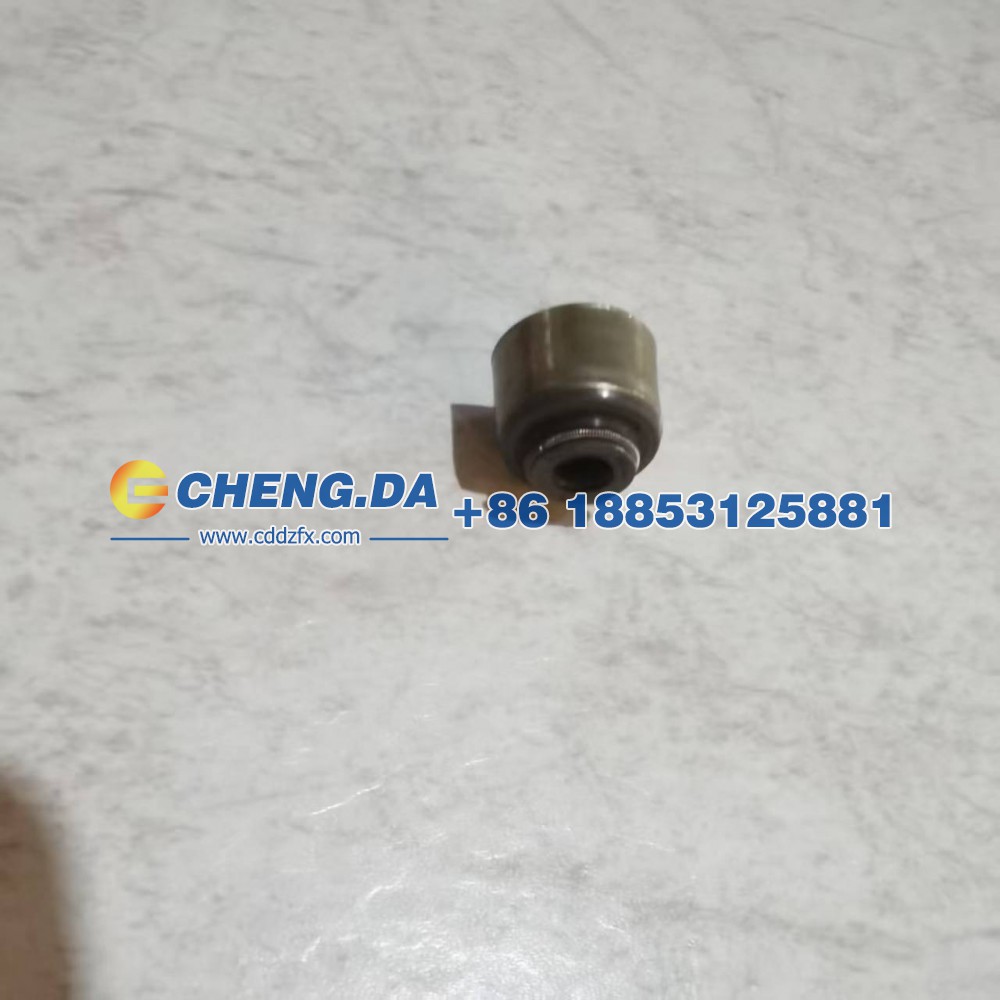 1003401GP190,进气门油封,山东鼎赞飞行汽车制造有限公司