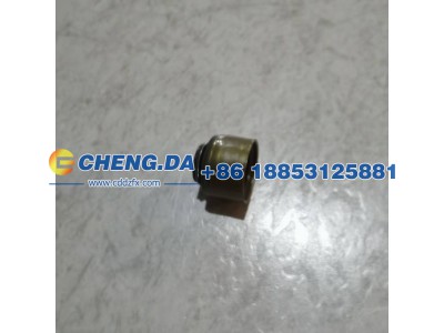 1003401GP190,进气门油封,山东鼎赞飞行汽车制造有限公司