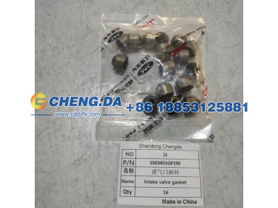 1003401GP190,进气门油封,山东鼎赞飞行汽车制造有限公司