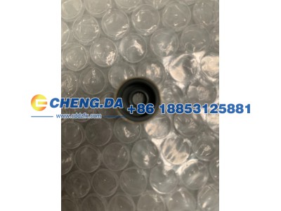 1003401GP190,进气门油封,山东鼎赞飞行汽车制造有限公司
