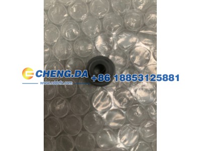 1003401GP190,进气门油封,山东鼎赞飞行汽车制造有限公司