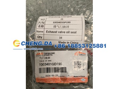 1003401GP190,进气门油封,山东鼎赞飞行汽车制造有限公司