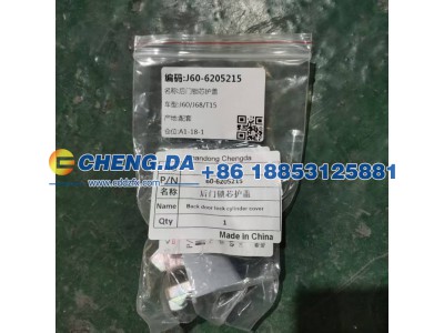 60-6205215,后门锁芯护盖,山东鼎赞飞行汽车制造有限公司