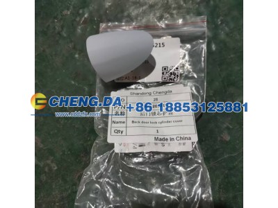 60-6205215,后门锁芯护盖,山东鼎赞飞行汽车制造有限公司