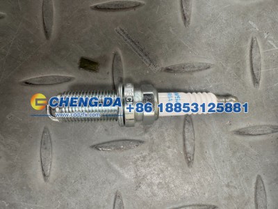 LFWA22162S6P00135,面包车火花塞 副厂,山东鼎赞飞行汽车制造有限公司