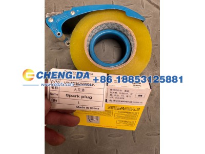 LFWA22162S6P00135,面包车火花塞 副厂,山东鼎赞飞行汽车制造有限公司