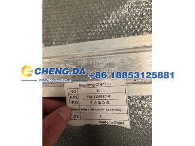 F08-1119120HE,中冷器总成 原厂,山东鼎赞飞行汽车制造有限公司