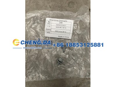 8888009857,SEMS 螺钉 M616,山东鼎赞飞行汽车制造有限公司