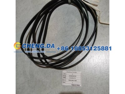 1015601GD190,发电机皮带,山东鼎赞飞行汽车制造有限公司