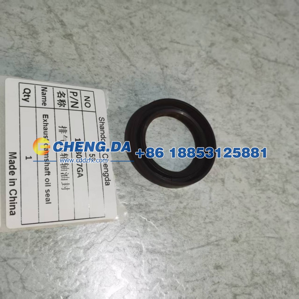 1003037GA,排气凸轮轴油封,山东鼎赞飞行汽车制造有限公司