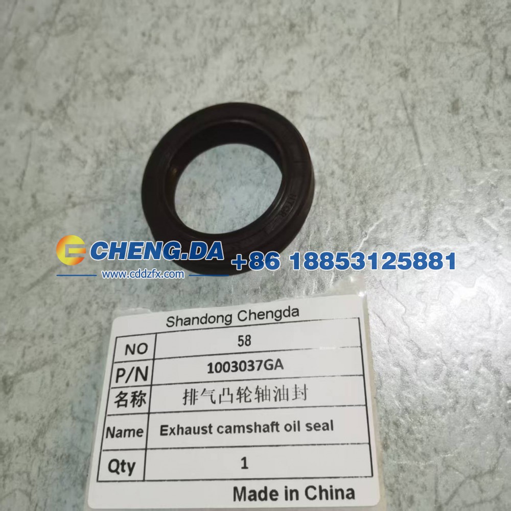 1003037GA,排气凸轮轴油封,山东鼎赞飞行汽车制造有限公司