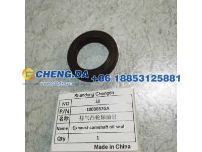 1003037GA,排气凸轮轴油封,山东鼎赞飞行汽车制造有限公司