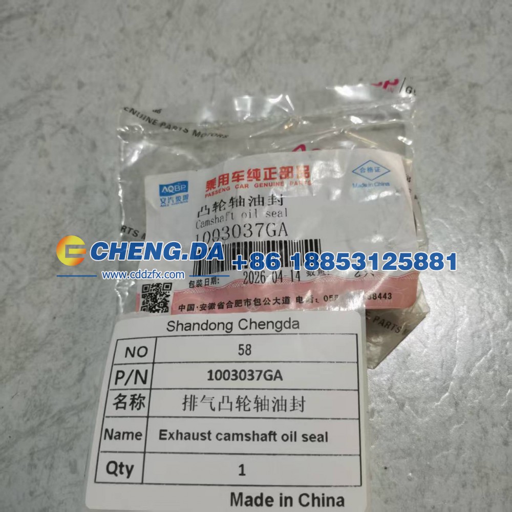 1003037GA,排气凸轮轴油封,山东鼎赞飞行汽车制造有限公司