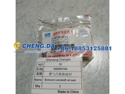 1003037GA,排气凸轮轴油封,山东鼎赞飞行汽车制造有限公司
