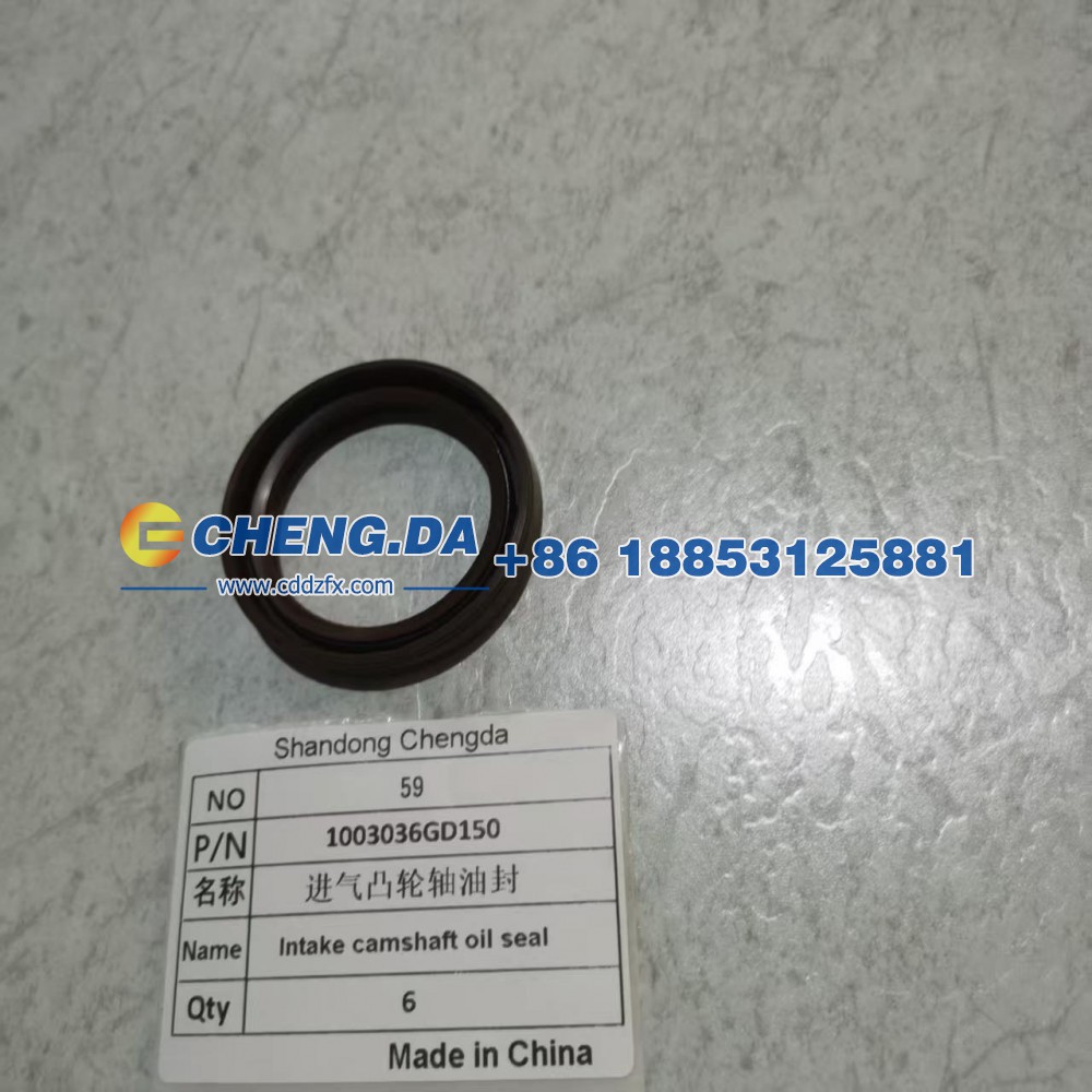1003036GD150,进气凸轮轴油封,山东鼎赞飞行汽车制造有限公司
