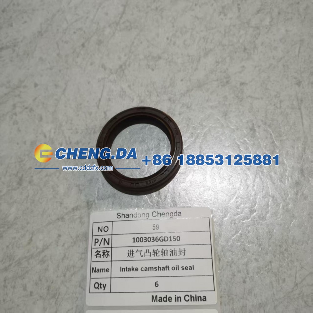 1003036GD150,进气凸轮轴油封,山东鼎赞飞行汽车制造有限公司