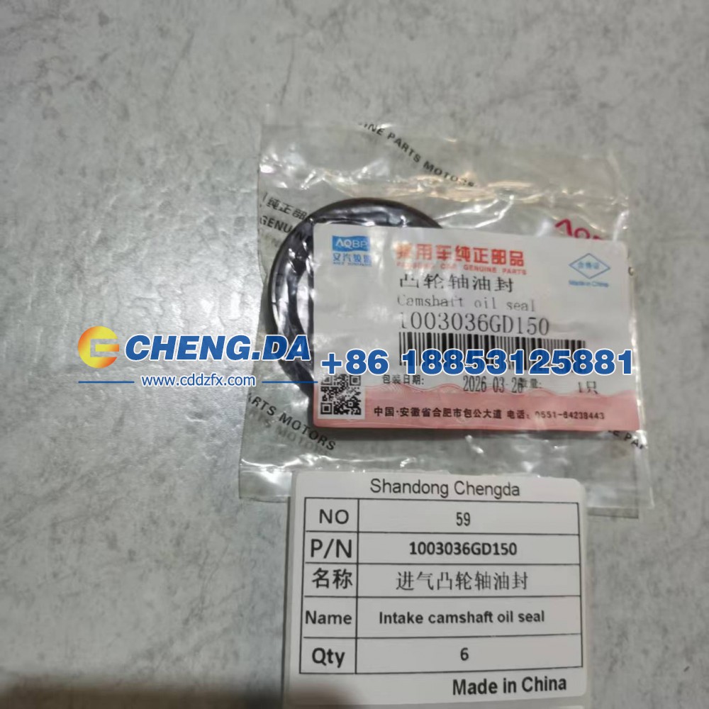 1003036GD150,进气凸轮轴油封,山东鼎赞飞行汽车制造有限公司