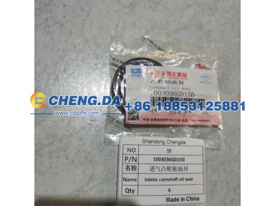 1003036GD150,进气凸轮轴油封,山东鼎赞飞行汽车制造有限公司