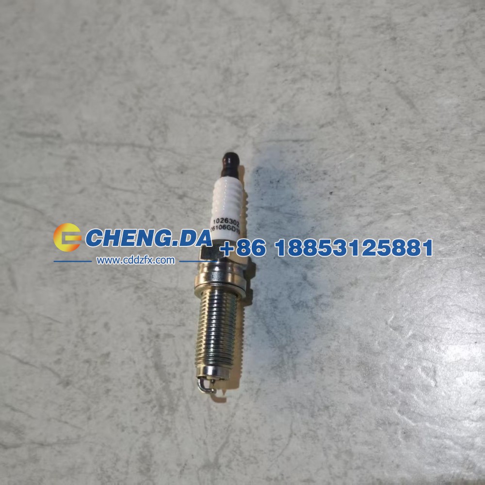 1006106GD190A,火花塞,山东鼎赞飞行汽车制造有限公司