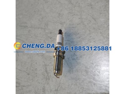 1006106GD190A,火花塞,山东鼎赞飞行汽车制造有限公司