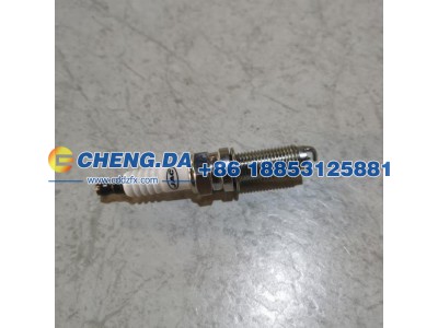 1006106GD190A,火花塞,山东鼎赞飞行汽车制造有限公司