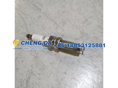 1006106GD190A,火花塞,山东鼎赞飞行汽车制造有限公司