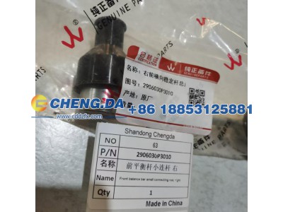 2906030P3010,前平衡杆小连杆 右,山东鼎赞飞行汽车制造有限公司