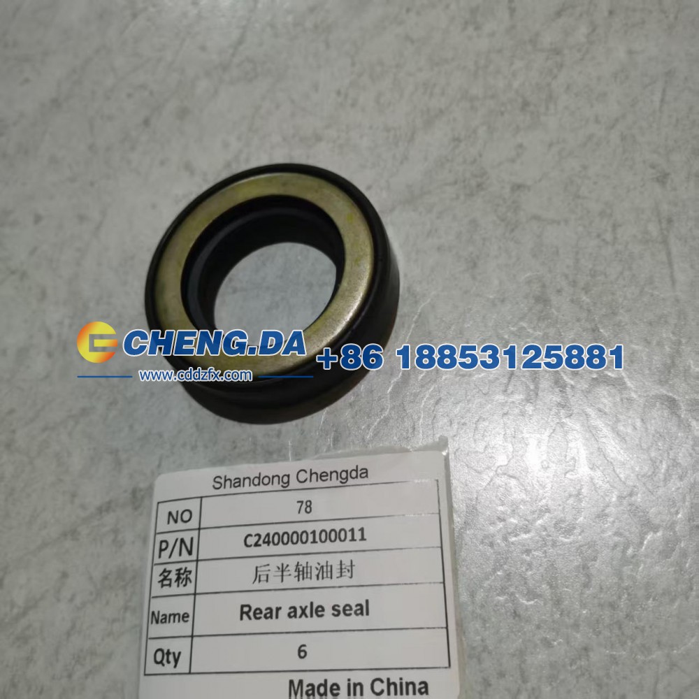 C240000100011后半轴油封