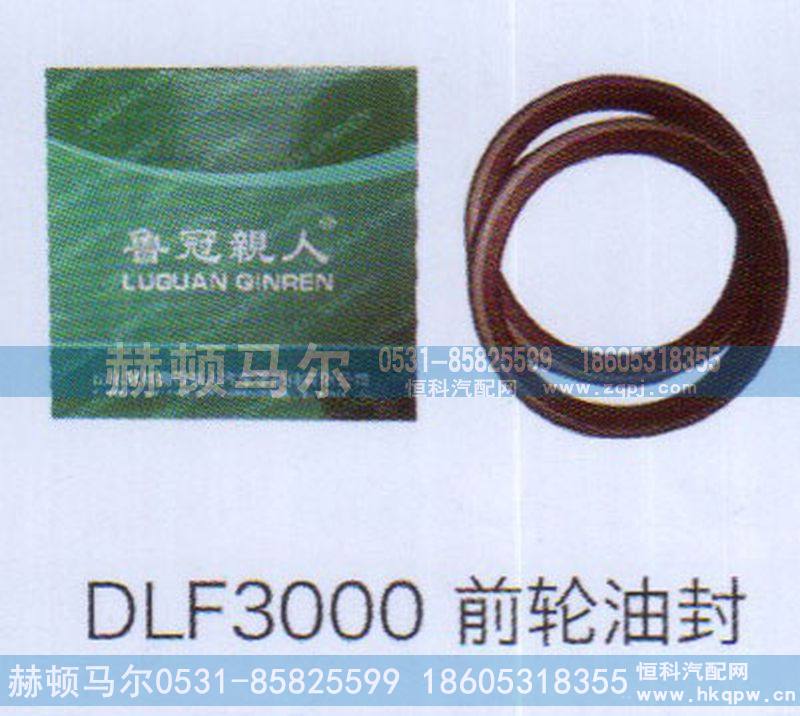 ,DLF3000前轮油封,山东赫顿马尔国际贸易有限公司